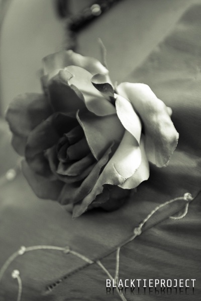 Adam and Joana-0781.jpg