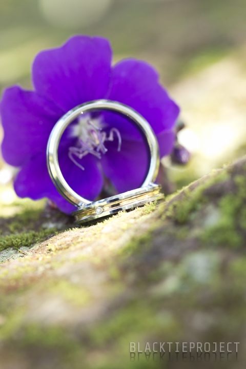 Harold and Ivy-0126.jpg