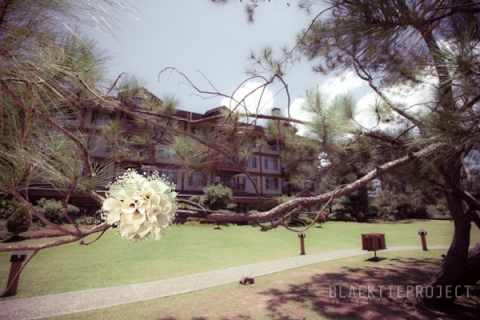 Harold and Ivy-0204.jpg