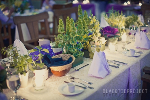 Harold and Ivy-2888.jpg