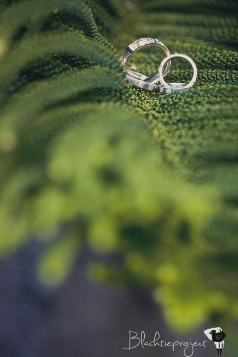 Herve and Rachelle 0186