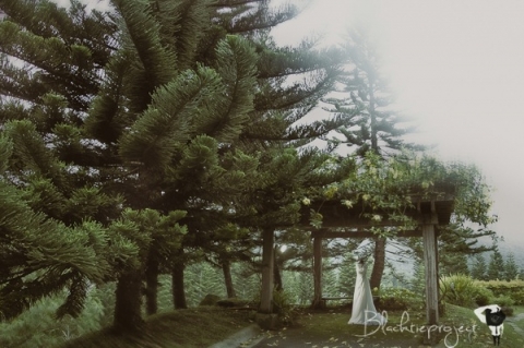 Herve and Rachelle 0210 Edit