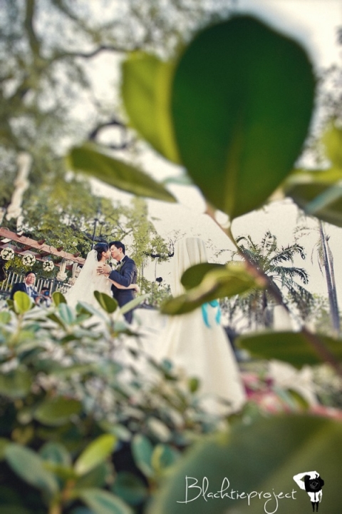 Armand and Madeline Wedding 1976 Edit