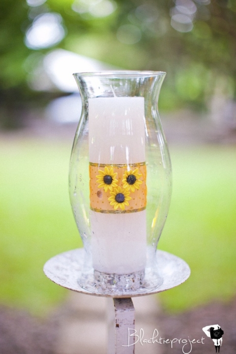 C and Chie Edited 0030