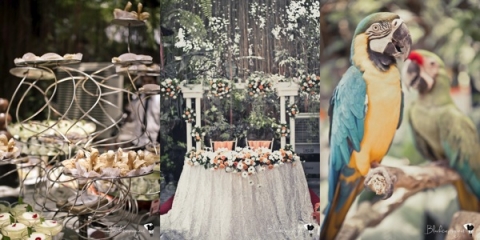 Francis and Odette 2800