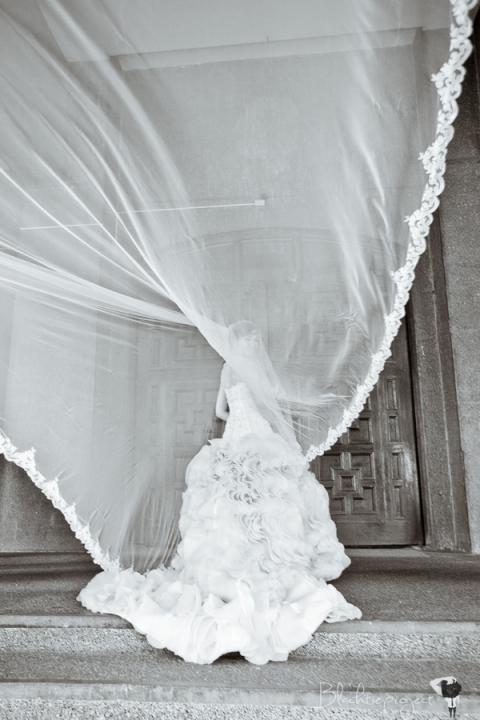 Joey and Hershey 1402