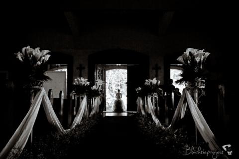 Joey and Hershey 1503